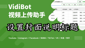VidiBot教程:视频缩略图、评论、标签的设置-VidiBot 跨平台分发引擎 | WxBot 微信自动化