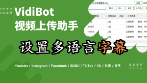VidiBot教程:多语言字幕的设置-VidiBot 跨平台分发引擎 | WxBot 微信自动化